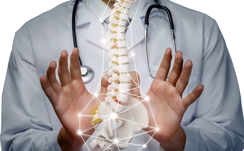 chiropractor-statistics